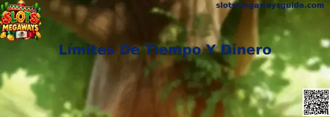 Guía sobre límites de tiempo y dinero para una experiencia responsable en Slots Megaways